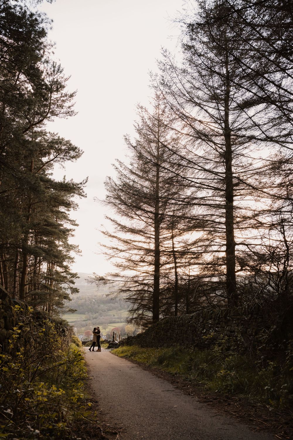 Couple embracing on a forest path surrounded by tall pine trees with a misty valley view in the background.
