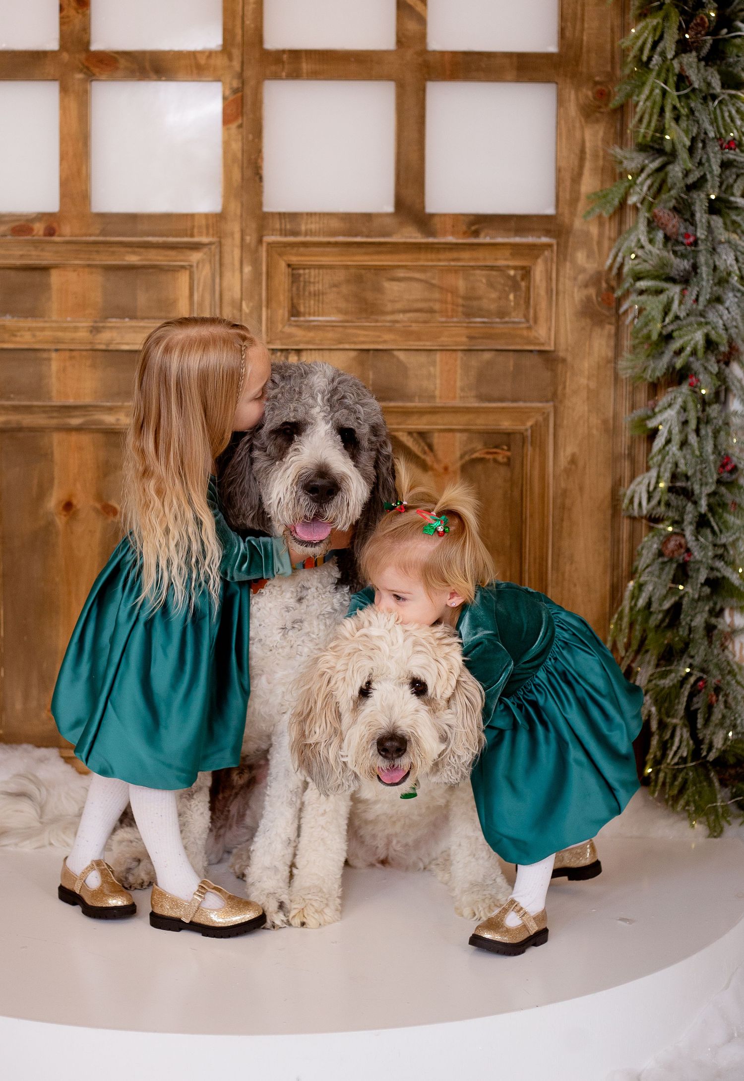Two children in matching teal dresses pose with large fluffy white and gray dogs against a wooden door backdrop.