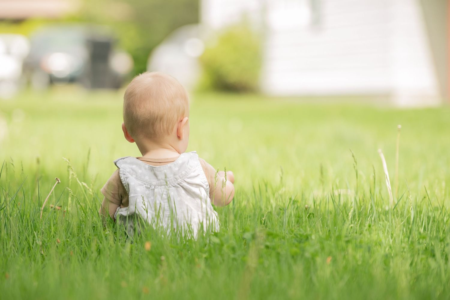 baby sitting in grass - family photos