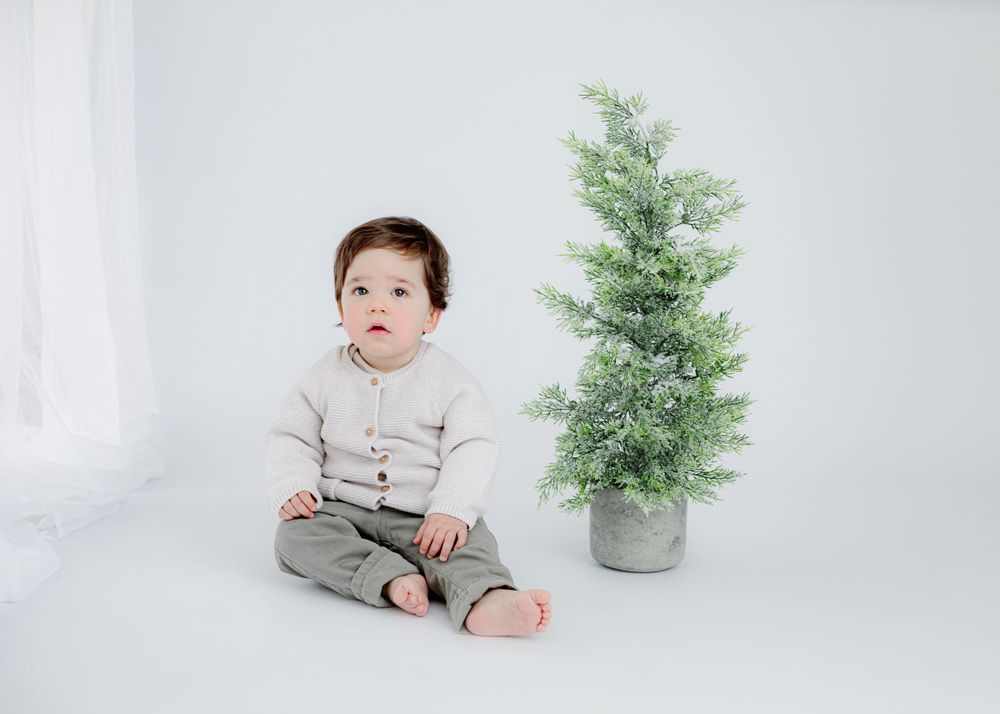 A child in gray pants sits beside a small potted evergreen tree against white backdrop.