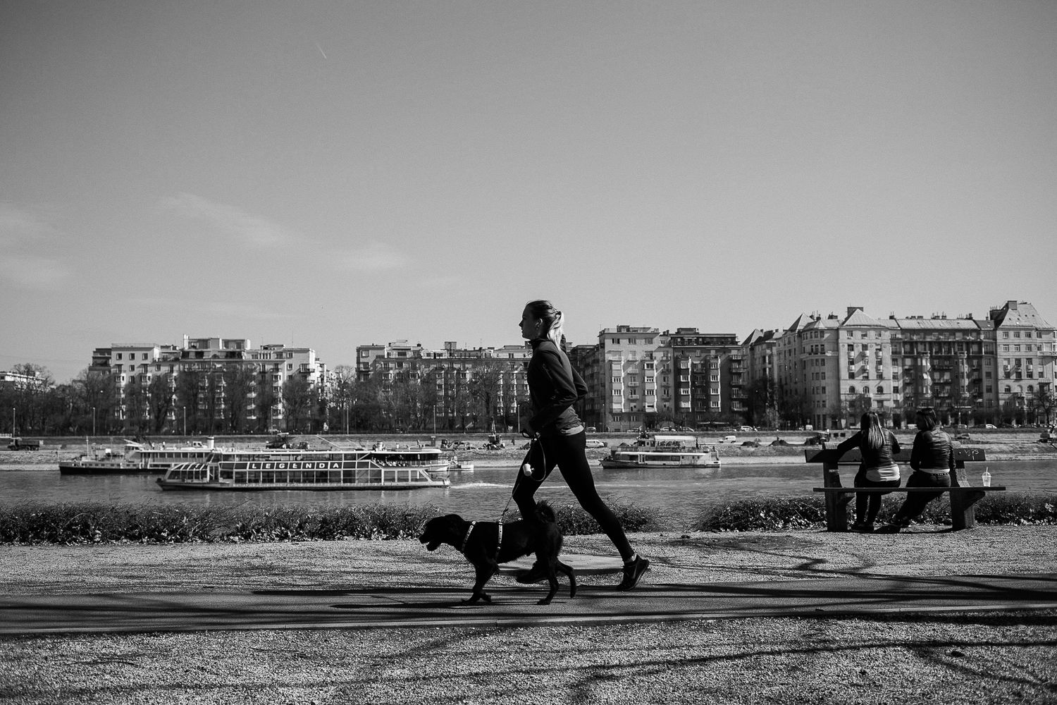 A figure walks a dog along an urban waterfront promenade with apartment buildings in the background.