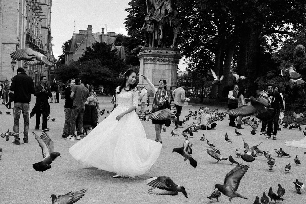 Wedding dress swirling among pigeons in city square.