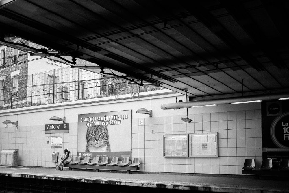 Empty subway platform with cat poster on tiled wall.