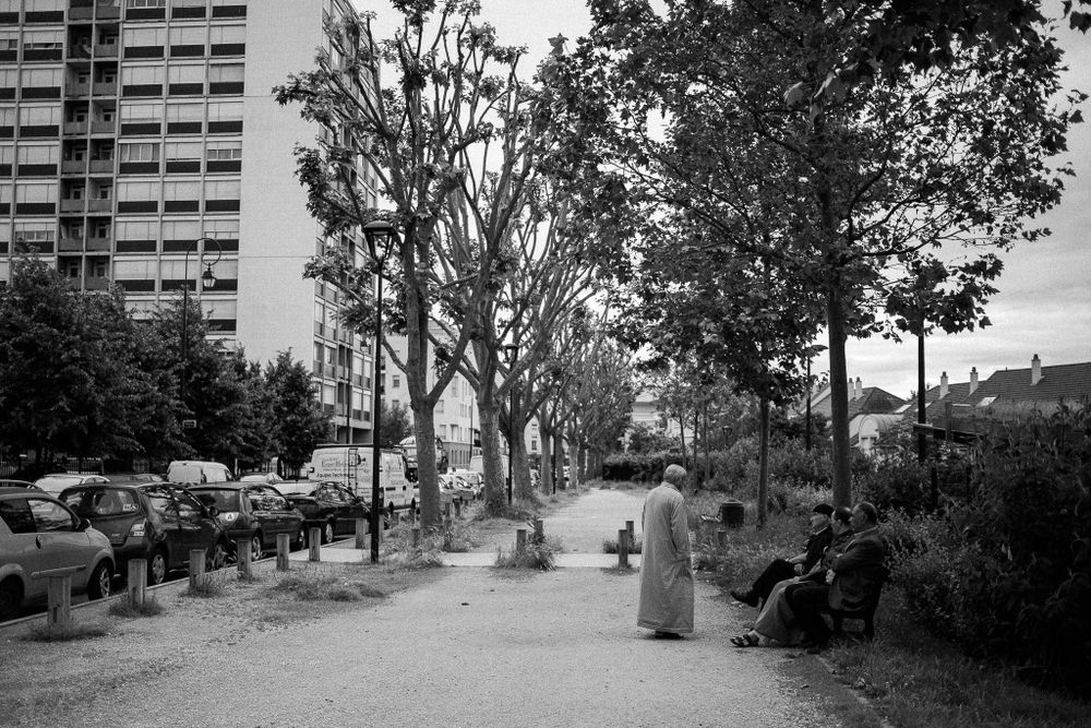 Tree-lined urban pathway with people walking near high-rise buildings.