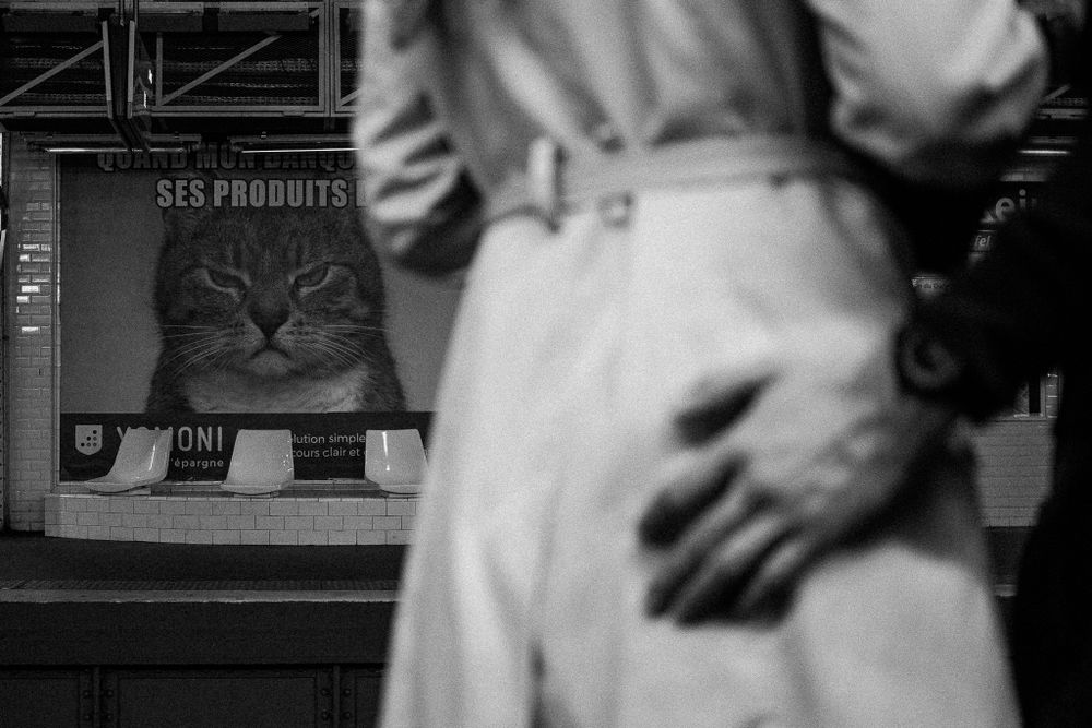 Cat poster in storefront window with partial view of person in foreground.