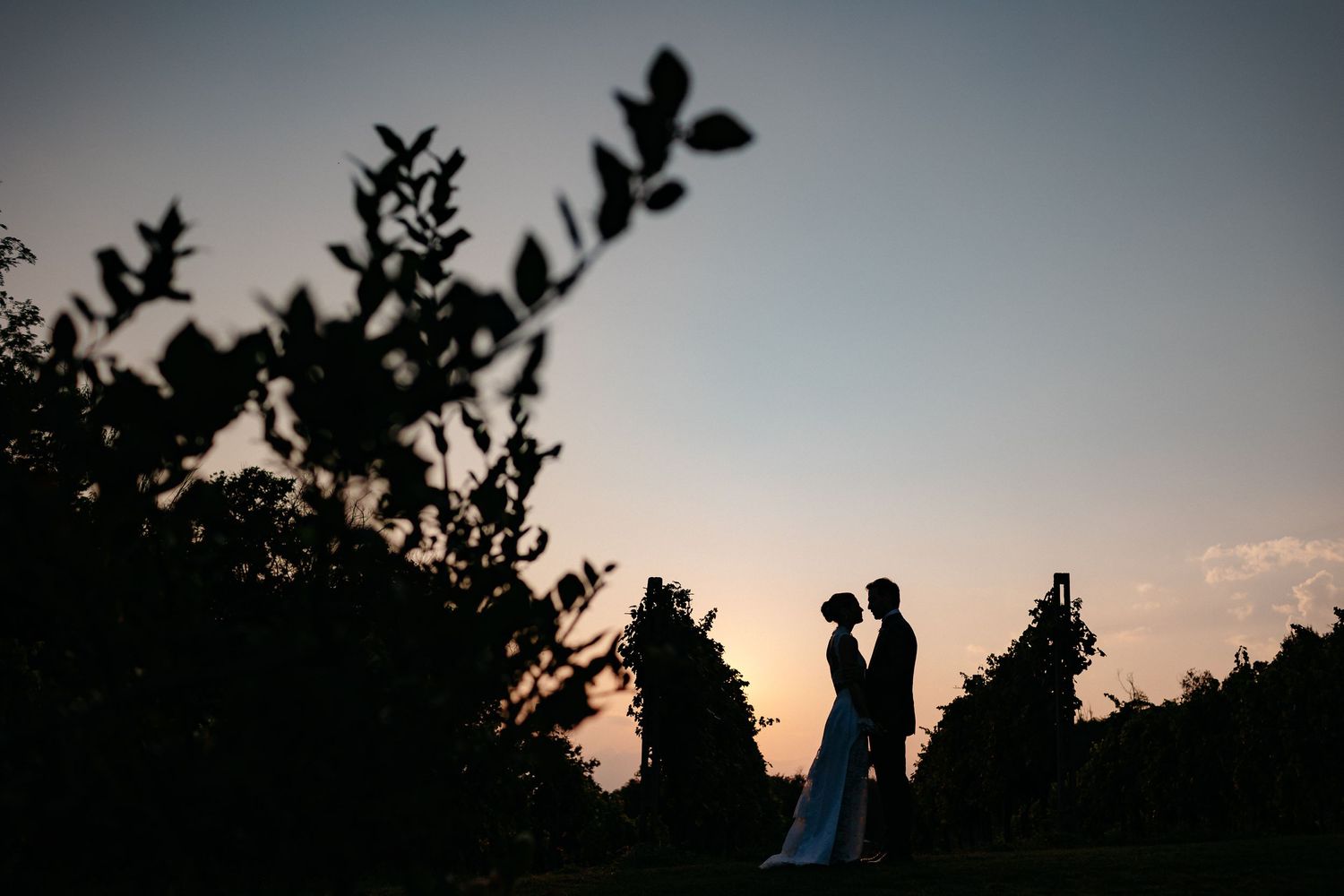 Silhouettes of a couple embracing against a sunset sky with dark foliage framing the romantic scene.