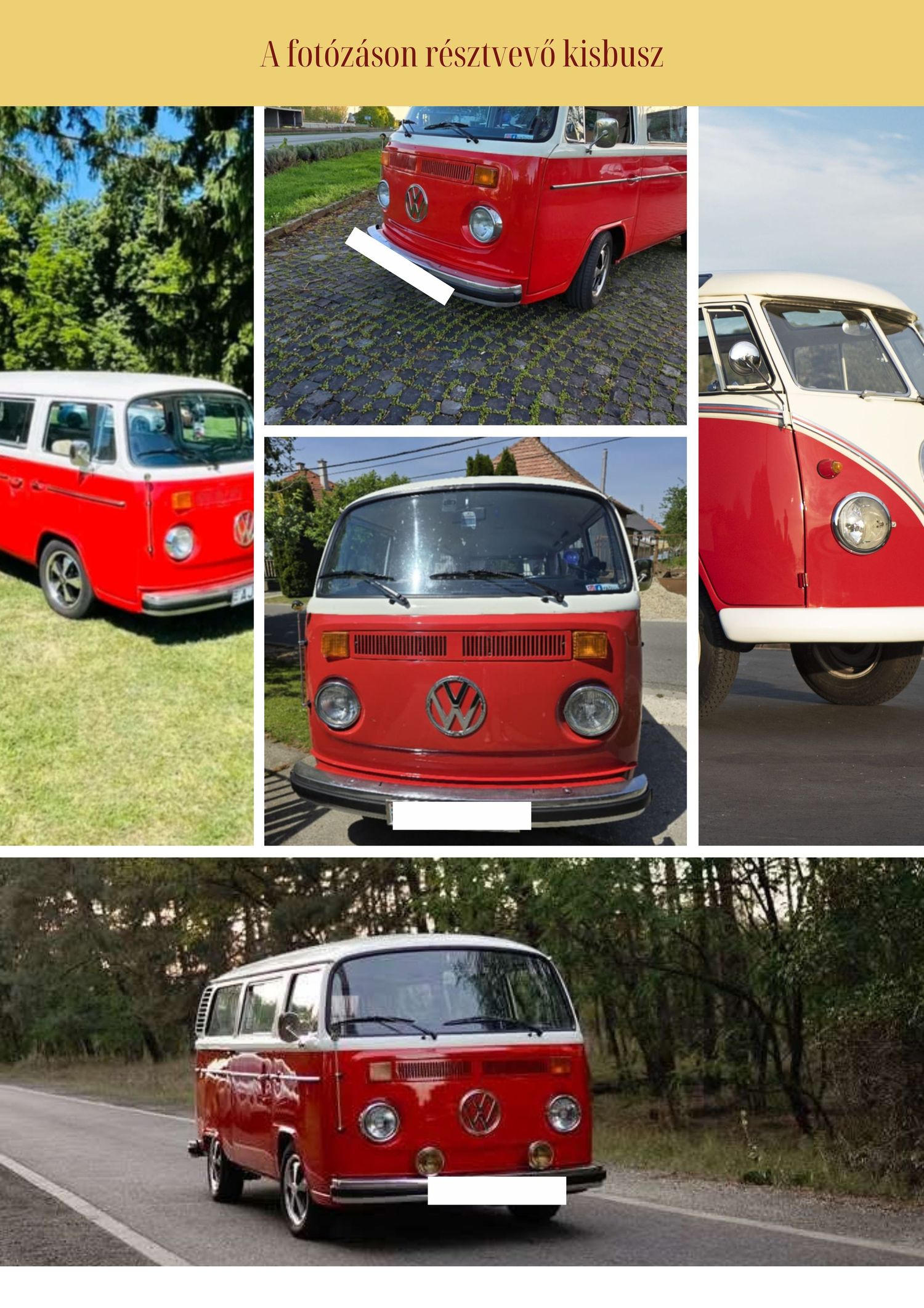 A collage of classic red and white Volkswagen Type 2 vans showcasing different angles and models on grass and roads.