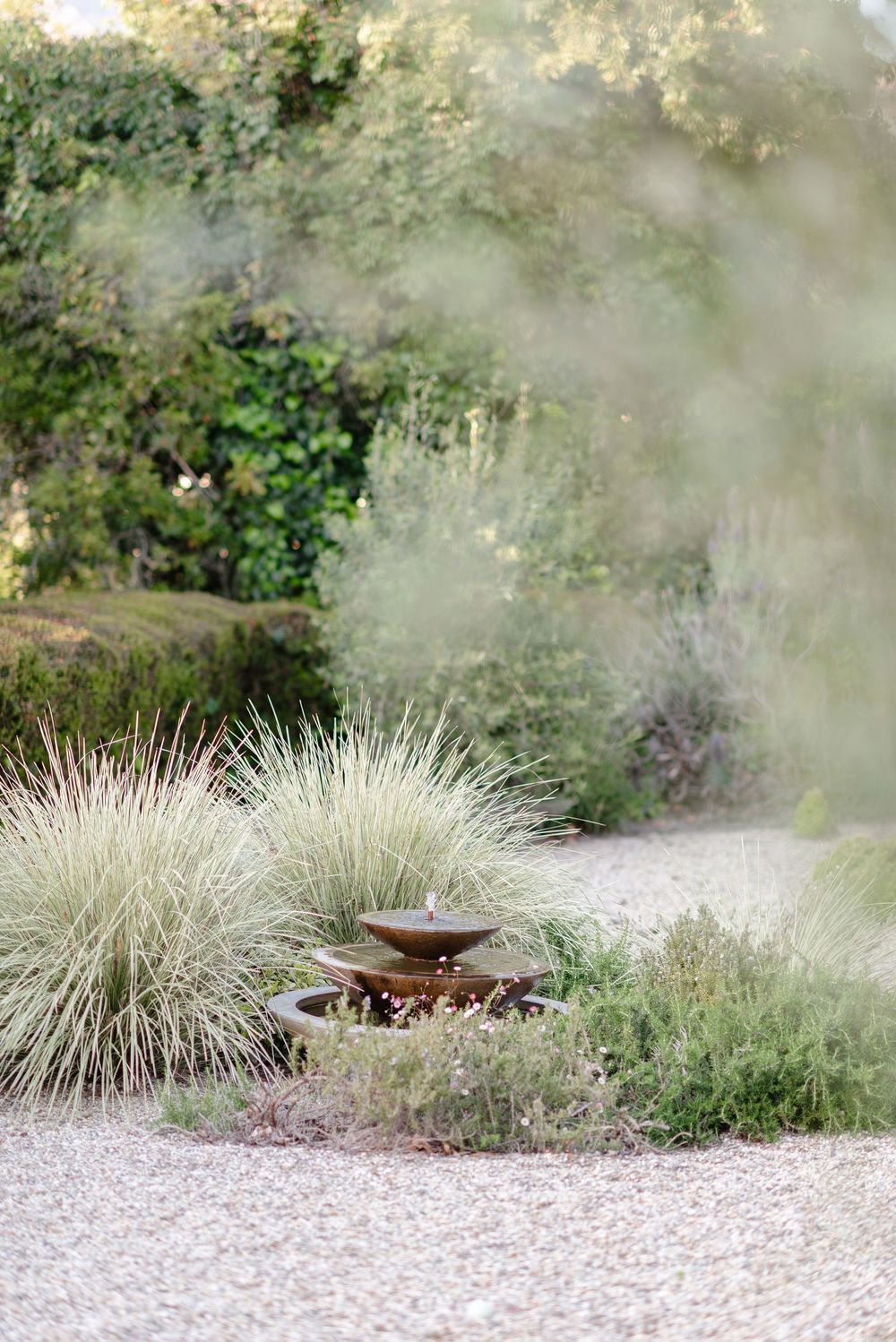 Caroline DIANI backyard styling Photographer Meg Sandu