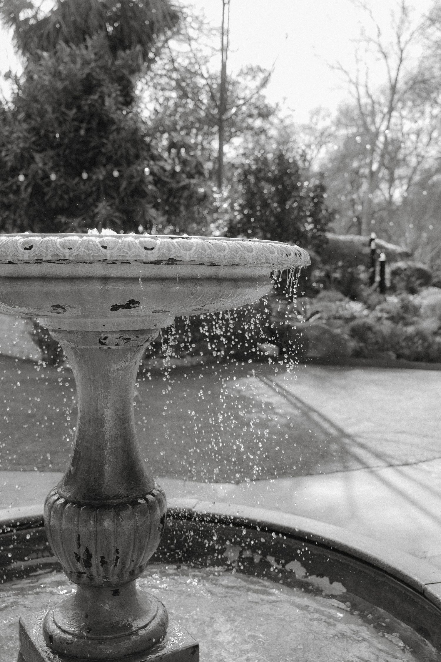 Water droplets spray from a classic stone garden fountain captured in black and white with a blurred natural background.
