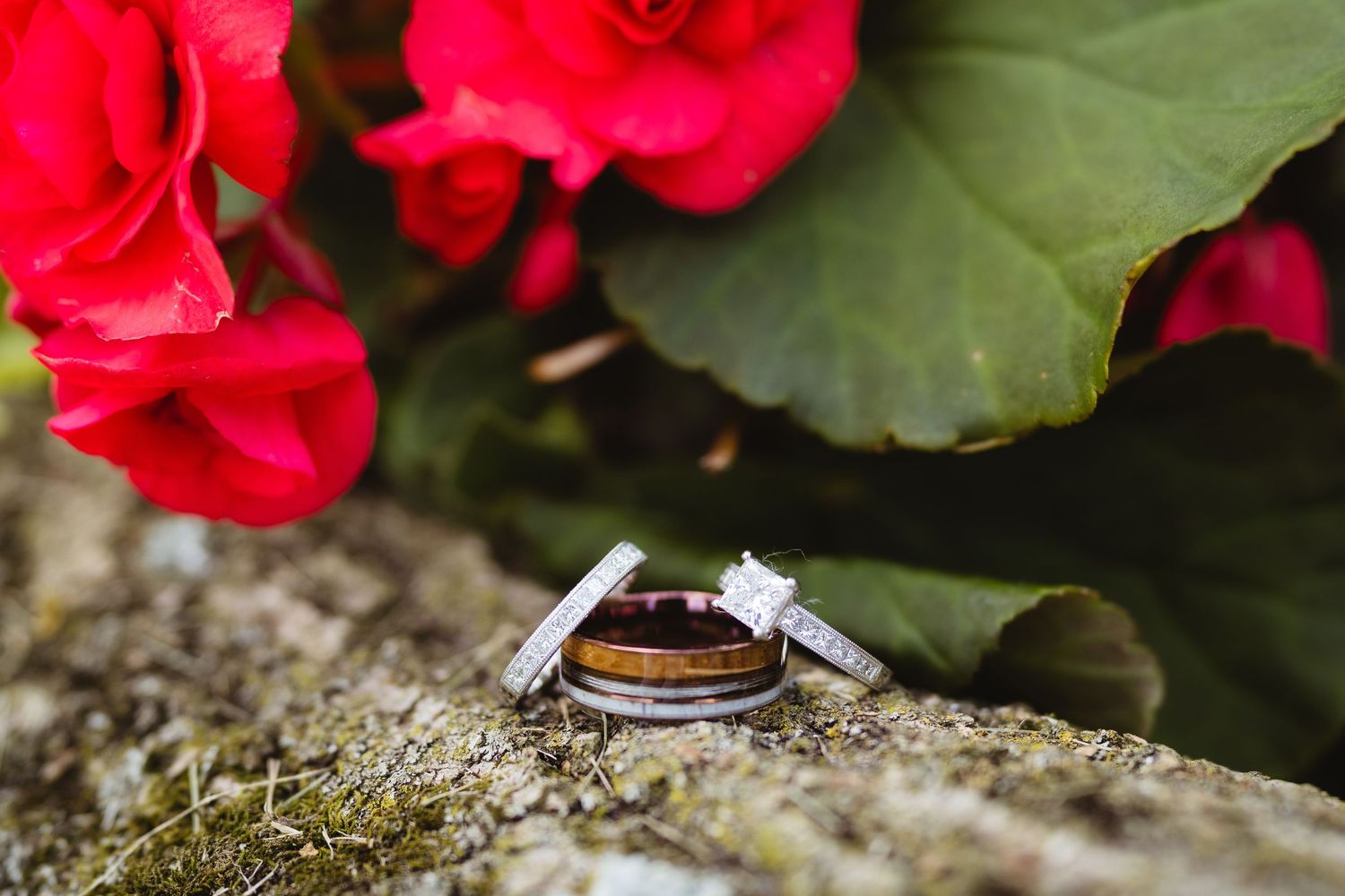 Wedding rings photographed on moss with vibrant red begonia flowers in the background.