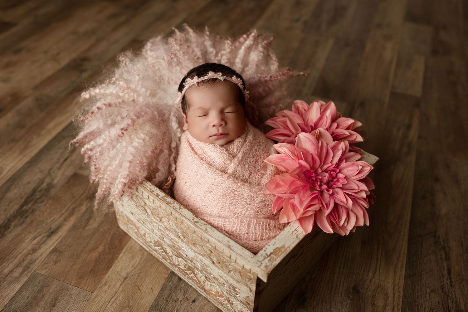 Newborn & Family Photographer Based on Camano Island and Serving Surrounding Areas.