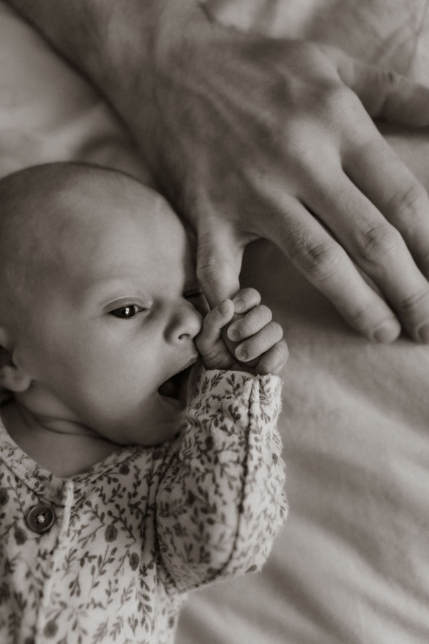 newborn, newbornshoot, newbornfotografie, newbornfotograaf, geboorte, Anne Westerveld Fotografie, fotograaf achterhoek, fotograaf Doetinchem
