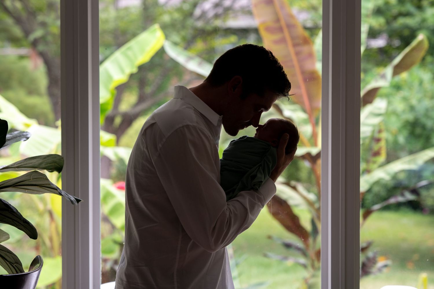 A series of silhouettes through window panes show someone tending to indoor plants in natural lighting.