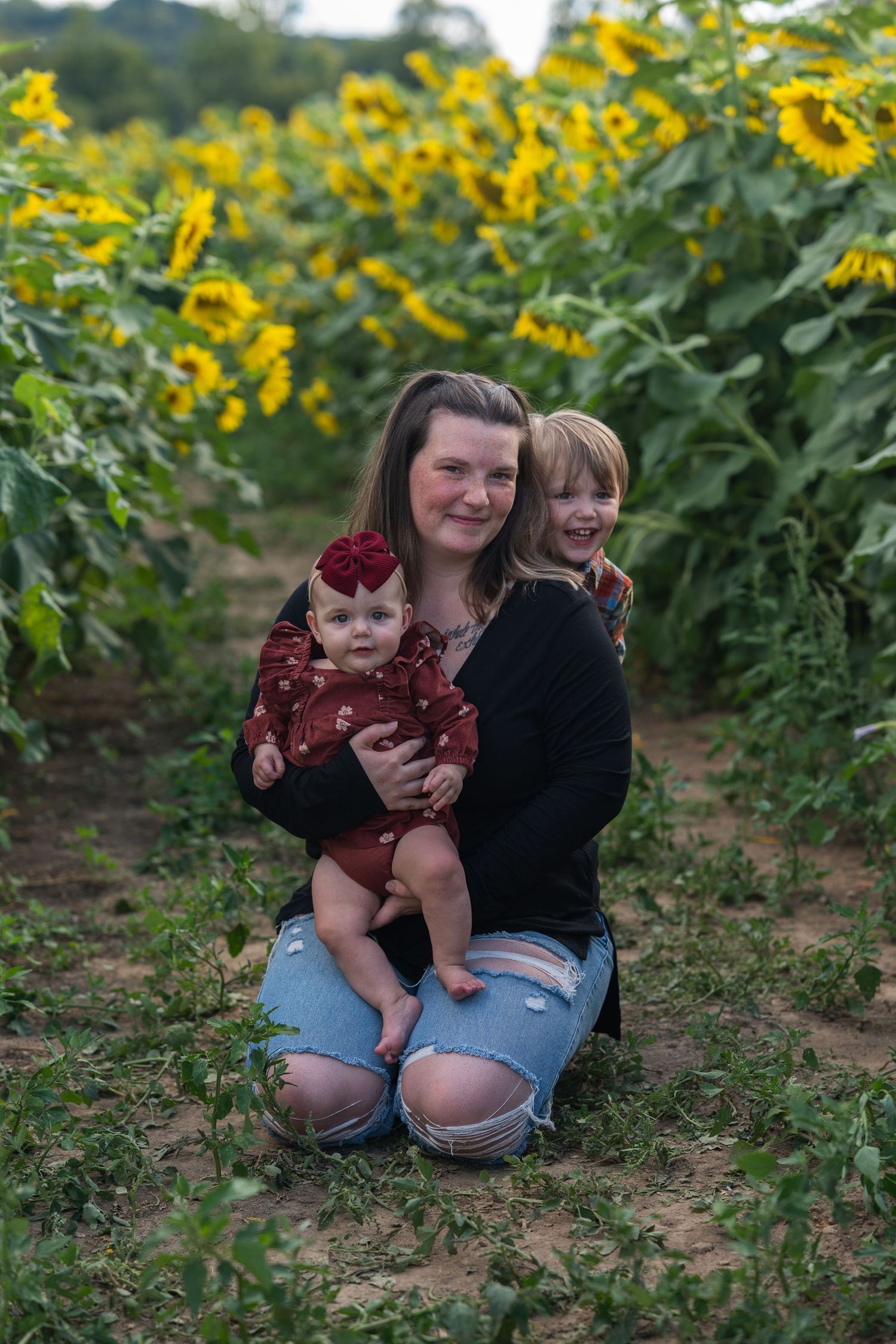 A family enjoys a tender moment together while sitting in a beautiful sunflower field on a sunny day.