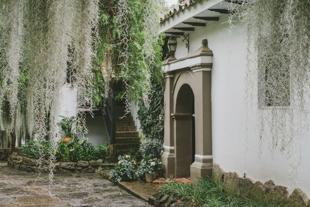 Spanish colonial archway with cascading Spanish moss and lush greenery along white stucco walls in a courtyard.