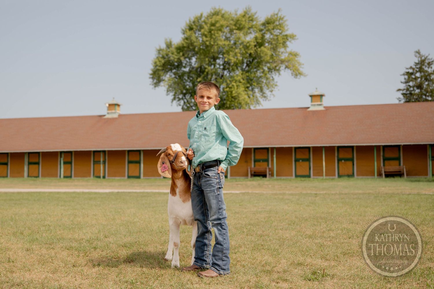 Brown and white goat stands with its handler on grassy field with barn buildings in background.