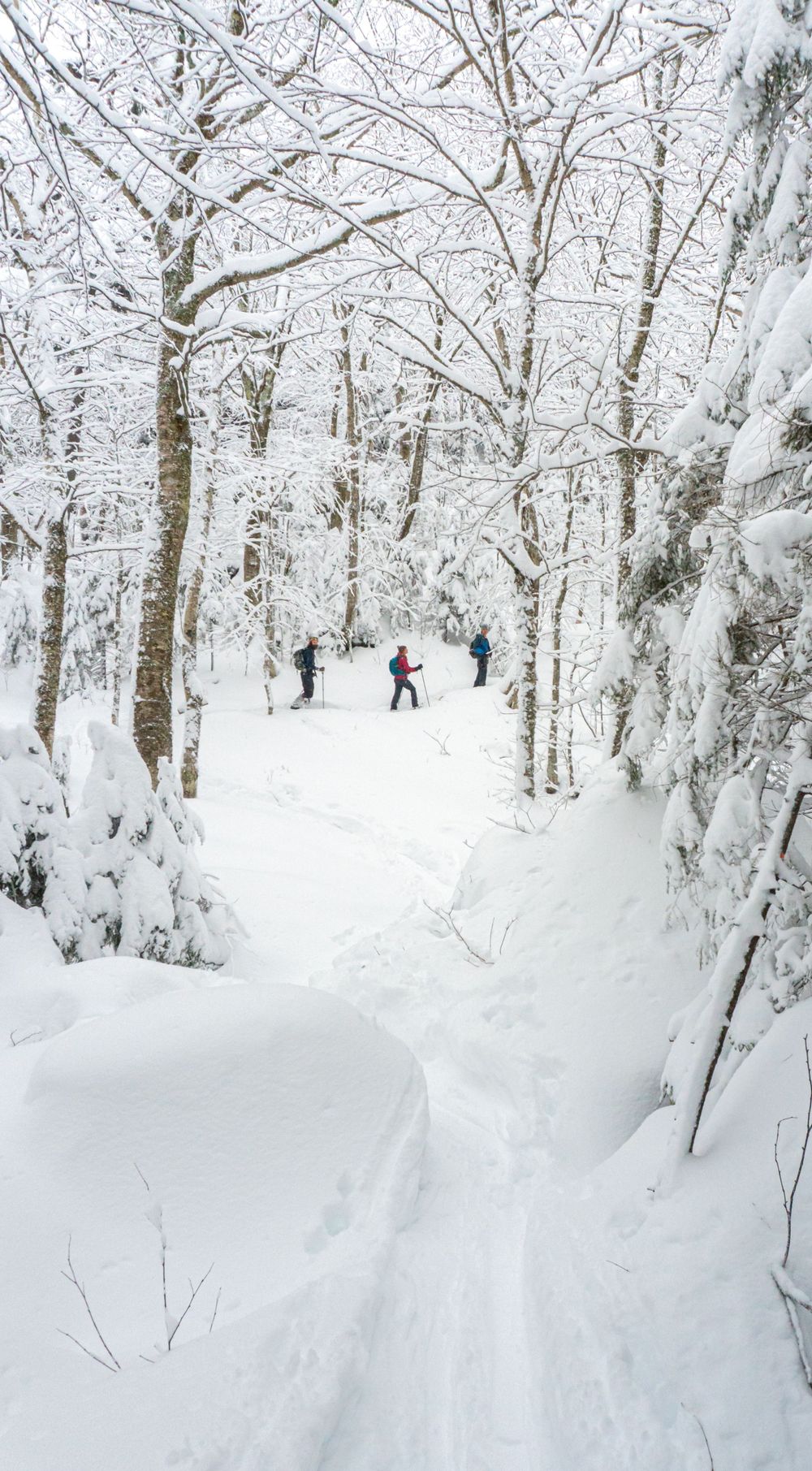 Backcountry skiing in Vermont's Bolton Backcountry