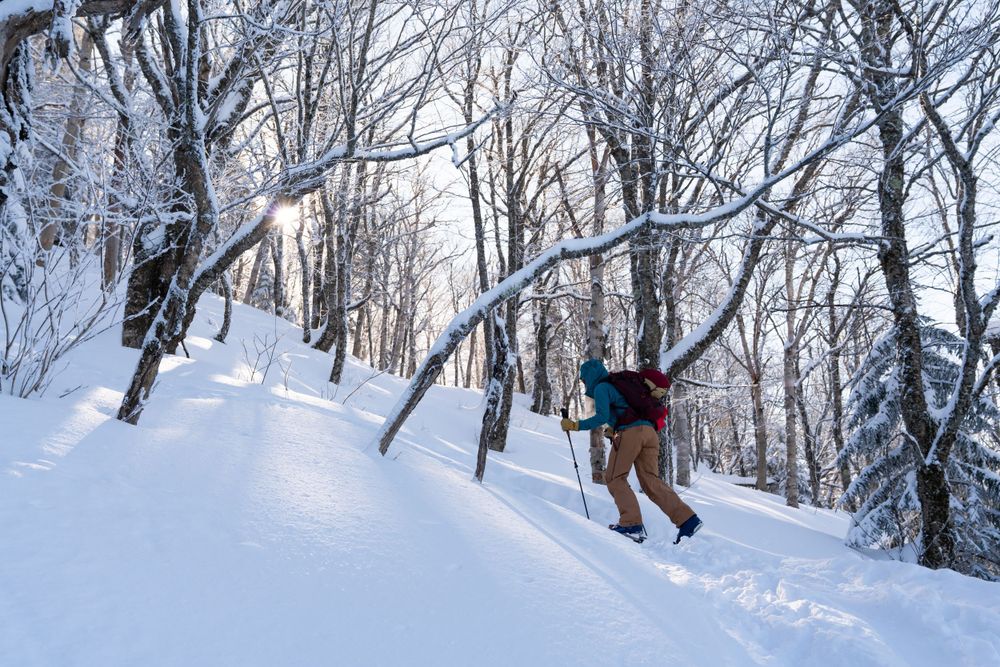 backcountry skiing Vermont