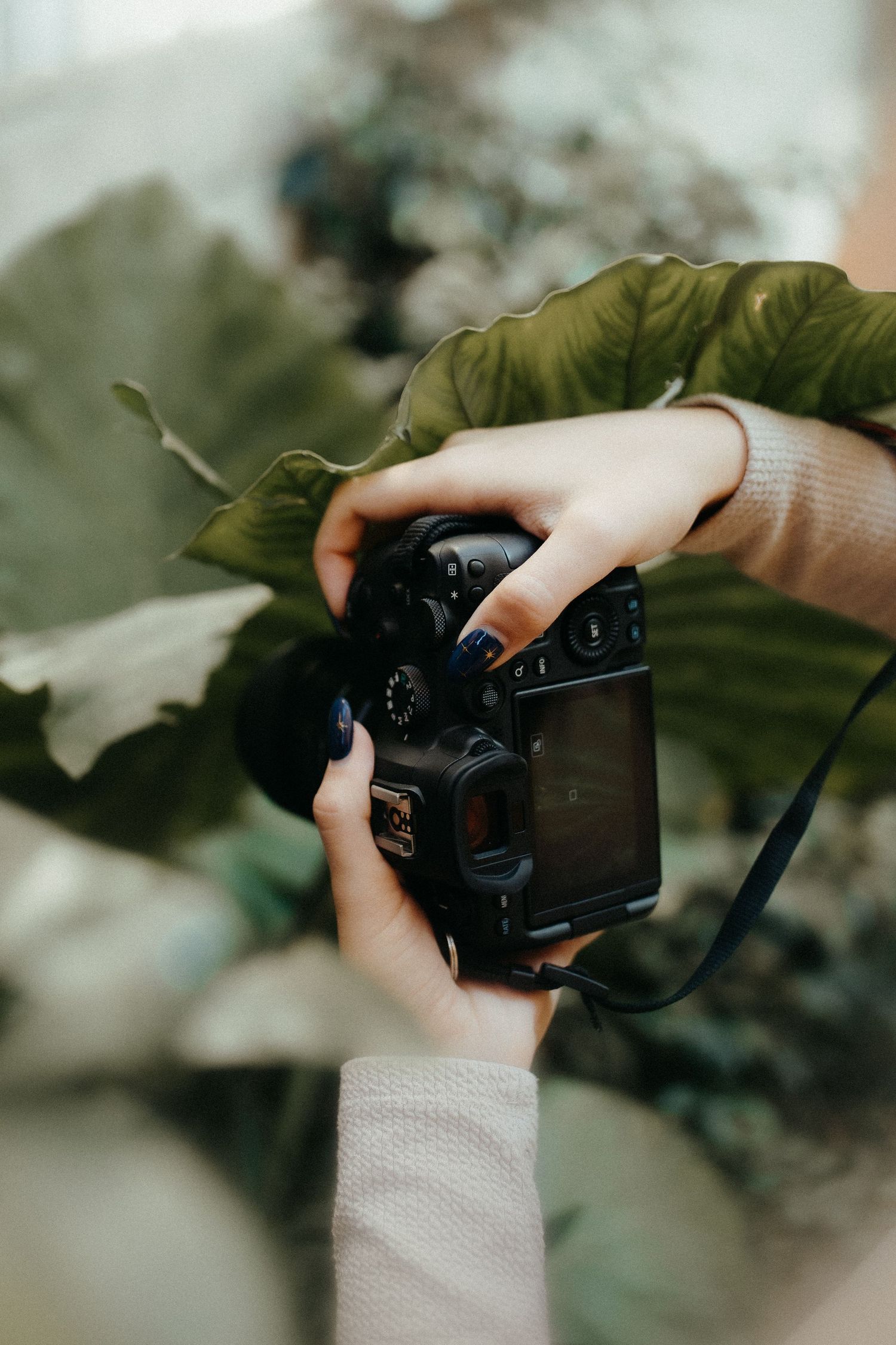 mentoring, coaching one to one pour photographes
workshops, accompagnement professionnel
trouver des clients