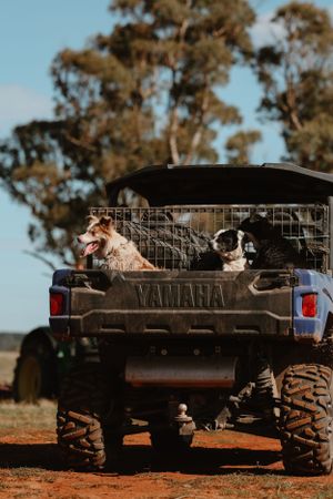 rural photography