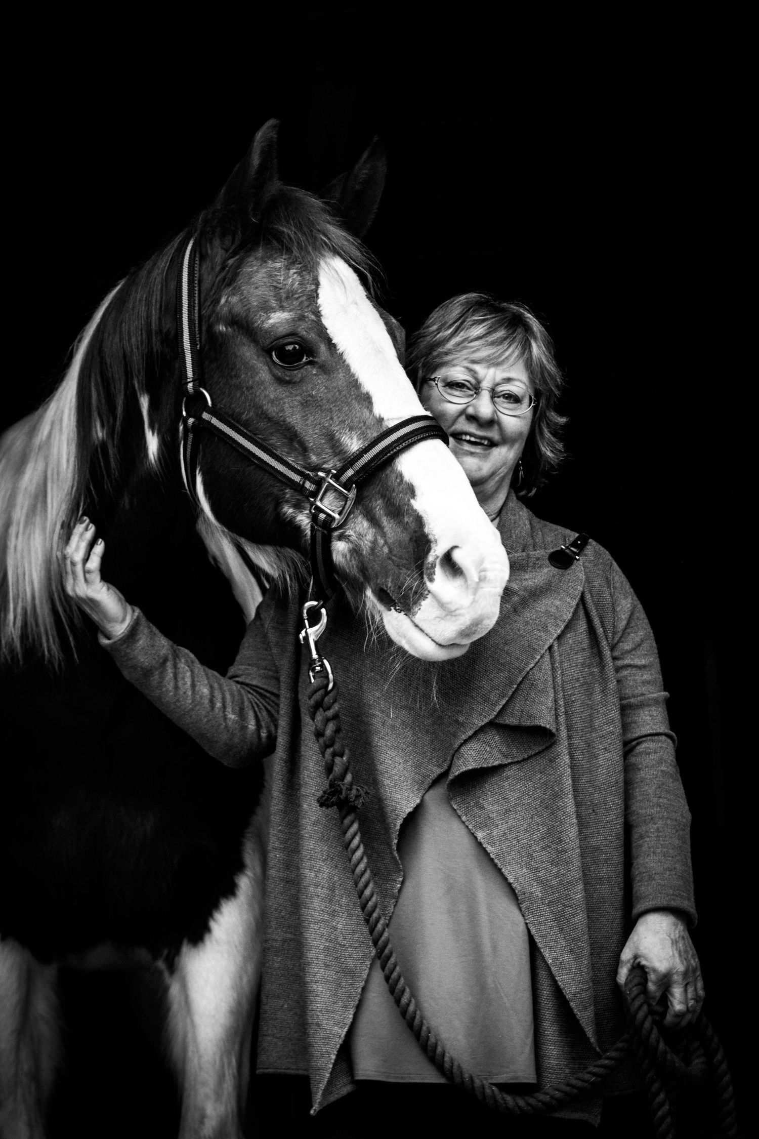 A bay horse with a white blaze stands in a dark stable.