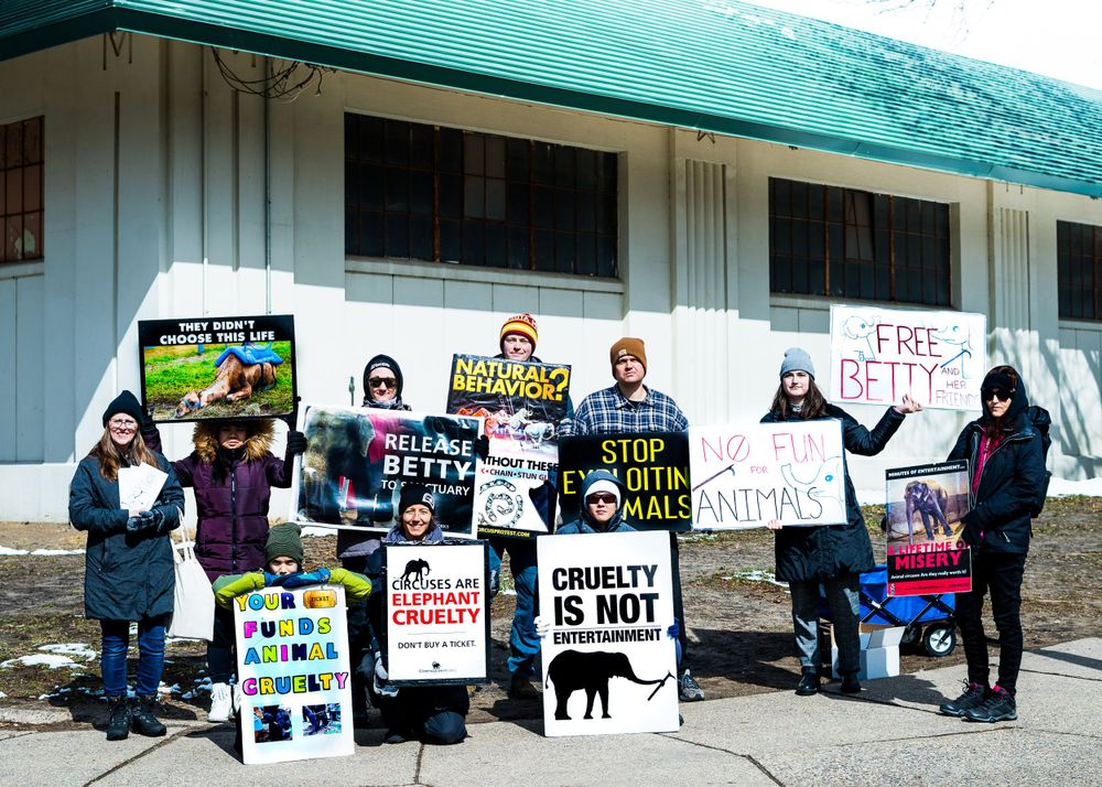 Group of protesters holding signs about cruelty and injustice stand outside a building with turquoise roof.