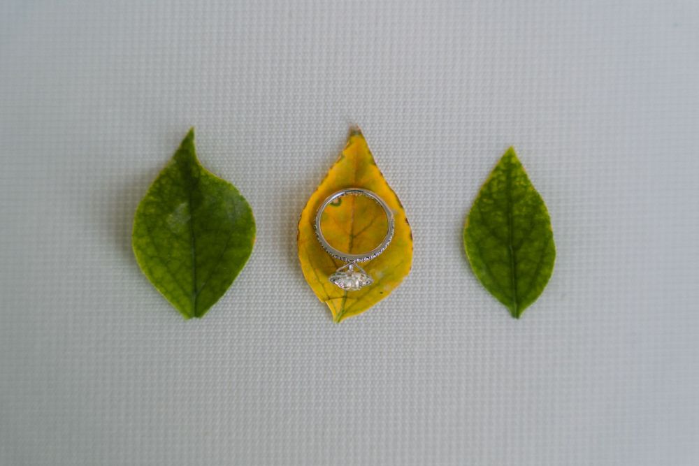 Three leaf-shaped objects arranged in a row with two green leaves flanking a golden yellow leaf with clock design on white surface.