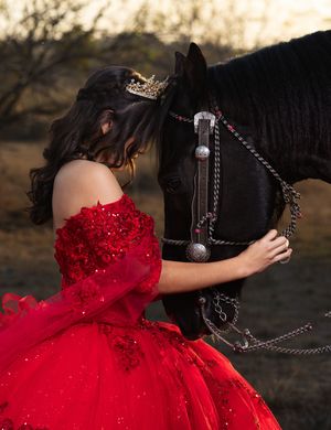 Girl in red quinceañera gown and gold tiara tenderly embraces a black horse outdoors at golden hour.