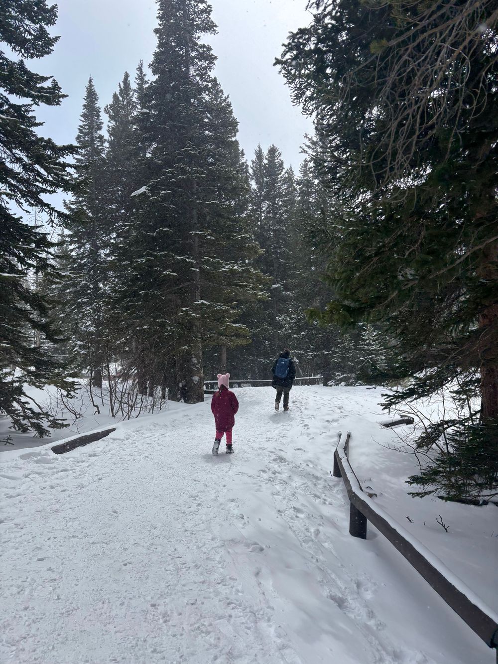 Two people hiking on a snowy trail through a pine forest in winter, with a child in pink and adult in blue jacket.