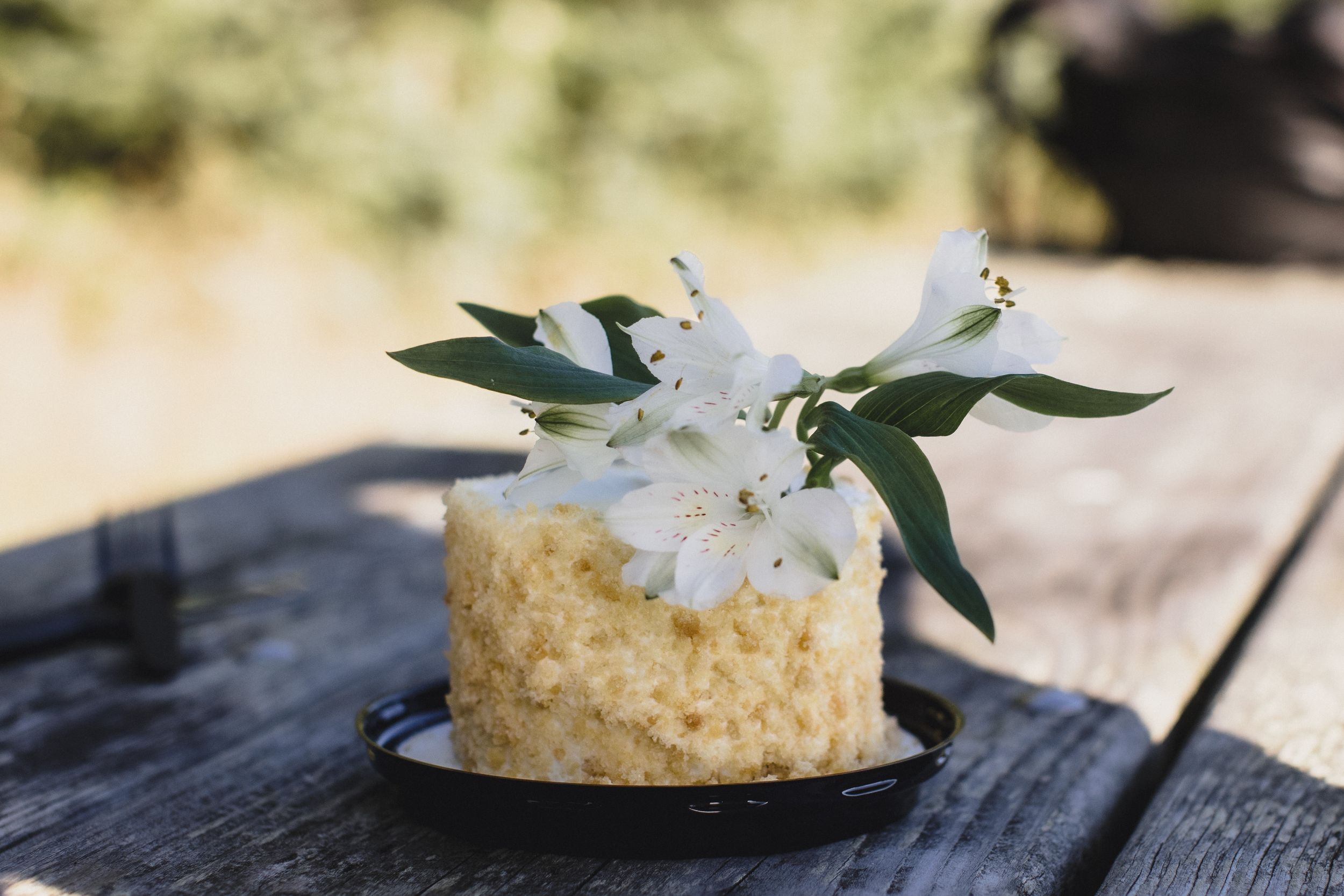 Small round cake topped with white cherry blossoms and green leaves on a rustic wooden surface outdoors.