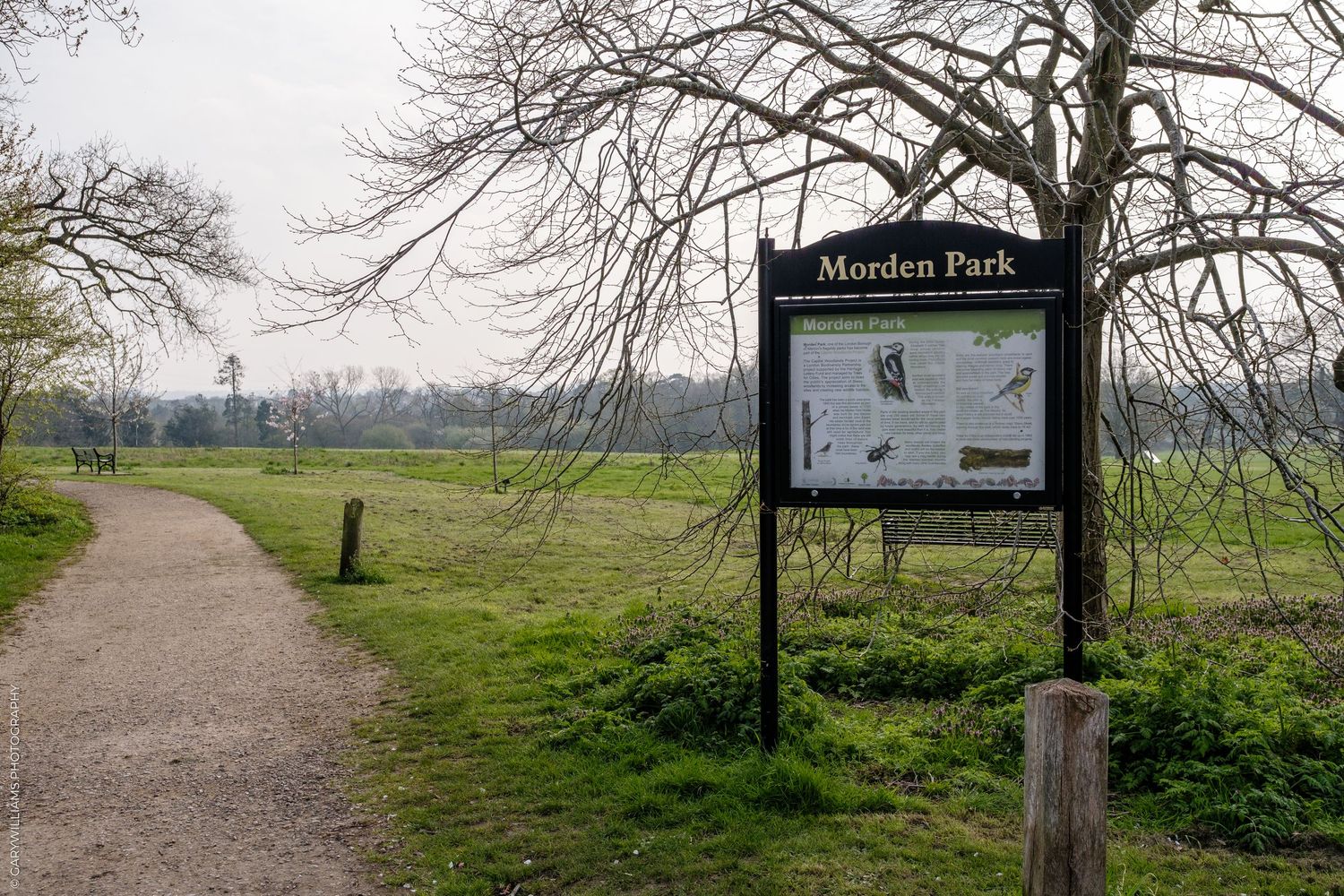 Sign for Morden Park along a winding path with bare trees and open green fields in London, England.