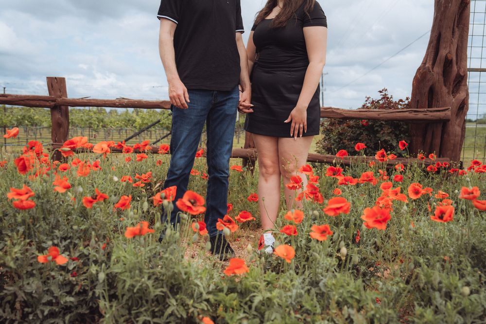 Couple standing in a vibrant red poppy field near a wooden fence on a sunny day.
