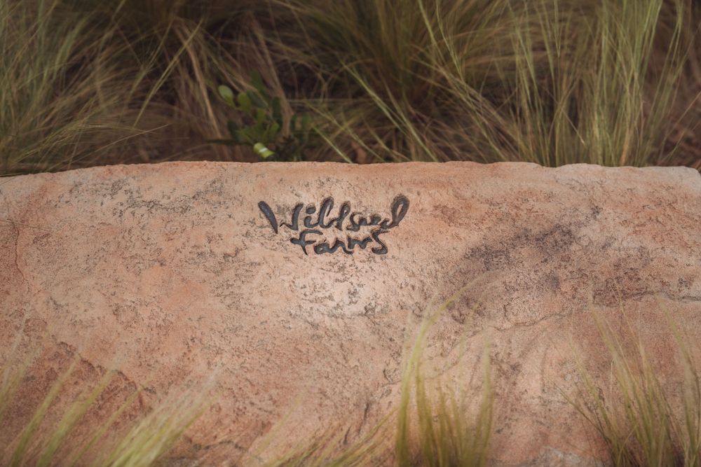 Wildland Farms logo painted on a rustic sandstone rock surrounded by ornamental grasses.