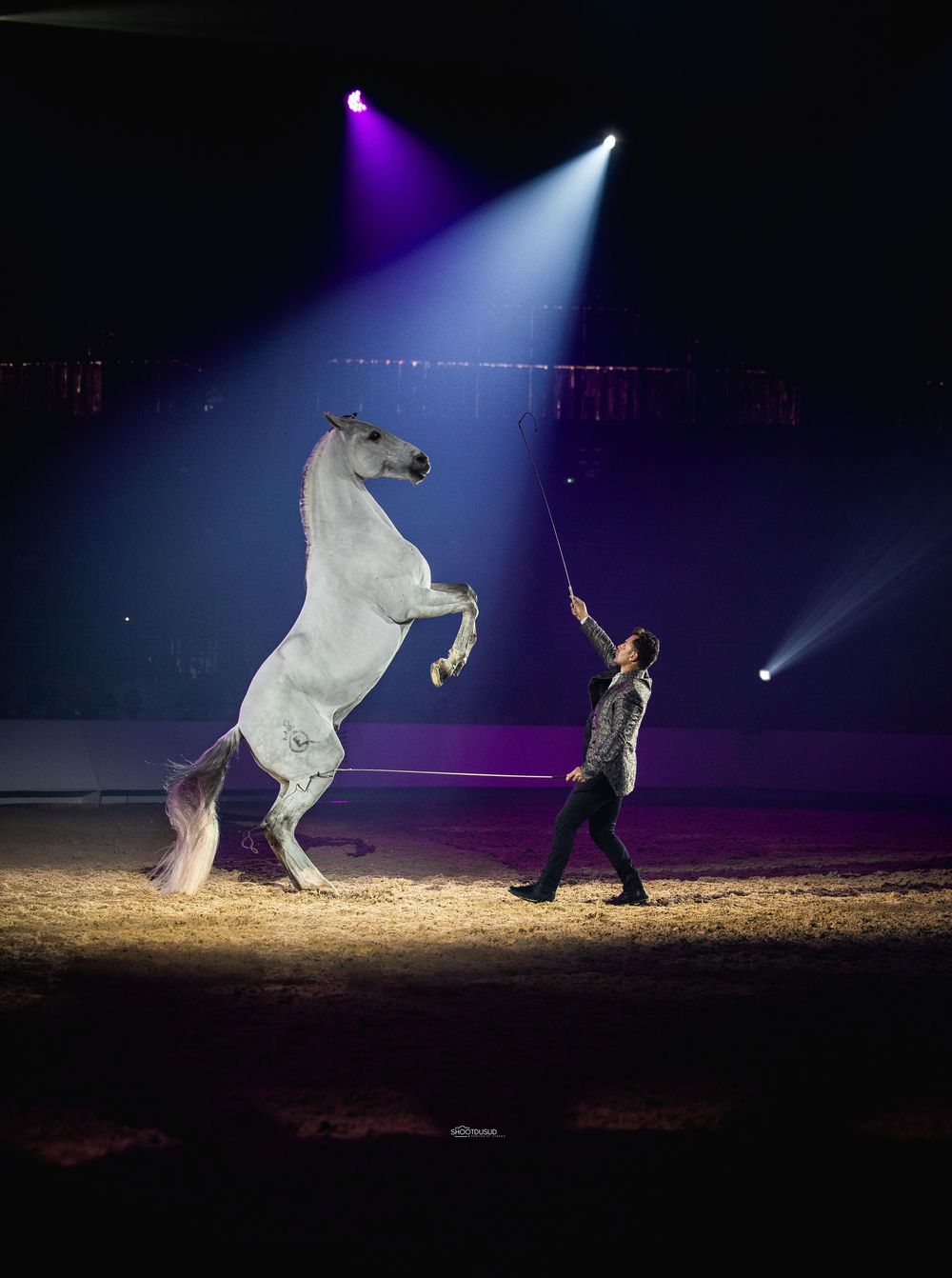 Shootng gala des crinière d'or Avignon