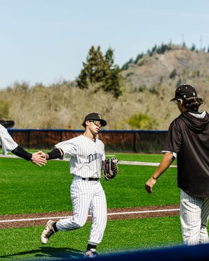 Baseball players in pinstripe uniforms high-five on a sunny green field with tree-covered hills in the background.