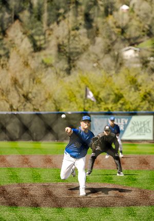 Baseball pitcher in blue uniform mid-throw on a sunny day with a green outfield and trees in the background.