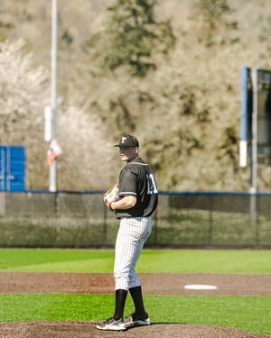 Baseball pitcher stands on mound in black pinstripe uniform ready to deliver pitch on sunny day.