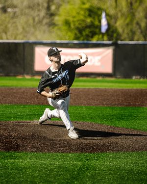 Baseball pitcher in black uniform winds up to throw from the mound on a green field.
