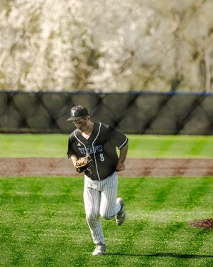 Baseball player #8 in black pinstripe uniform runs across green outfield grass during a sunny game.