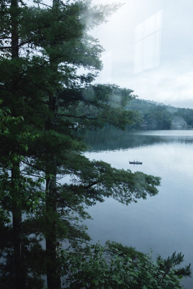 Pine trees lining a lake on a cloudy day viewed out a window at Newfound Lake in New Hampshire. NH family vacation photographer.