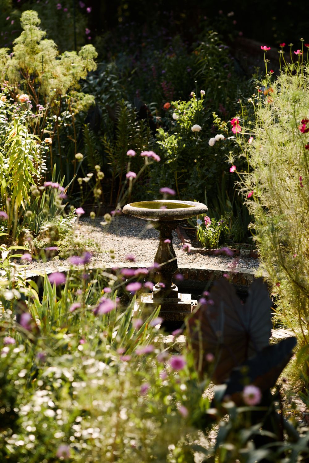 Sunlit cottage garden with stone birdbath, purple alliums, pink flowers, and lush greenery along a gravel path.
