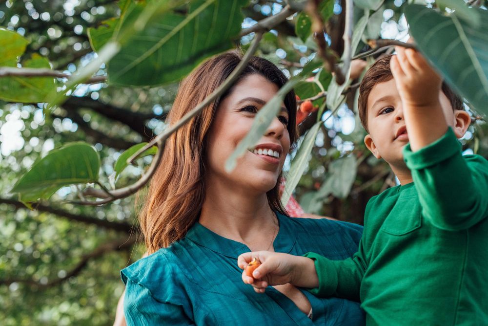 Smiling mother holding young boy in green shirt reaching up to pick fruit from tree outdoors.