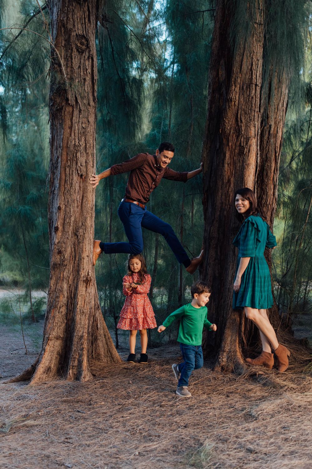 Playful family of four among tall pine trees with father jumping between trunks outdoors.