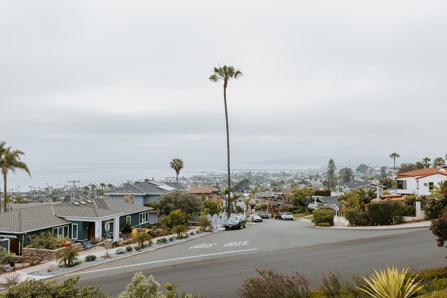 Aerial view of a coastal San Diego neighborhood with palm trees, residential homes, and ocean views under an overcast sky.