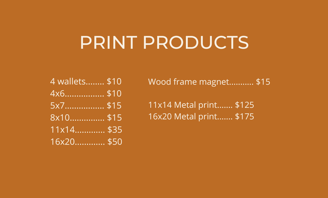 Wooden print pricing menu board displays various sizes and costs for framed art prints against an orange background.