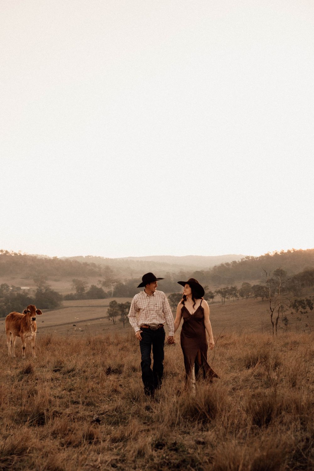 A couple walks through a rustic pasture with cattle grazing in the background during sunset.