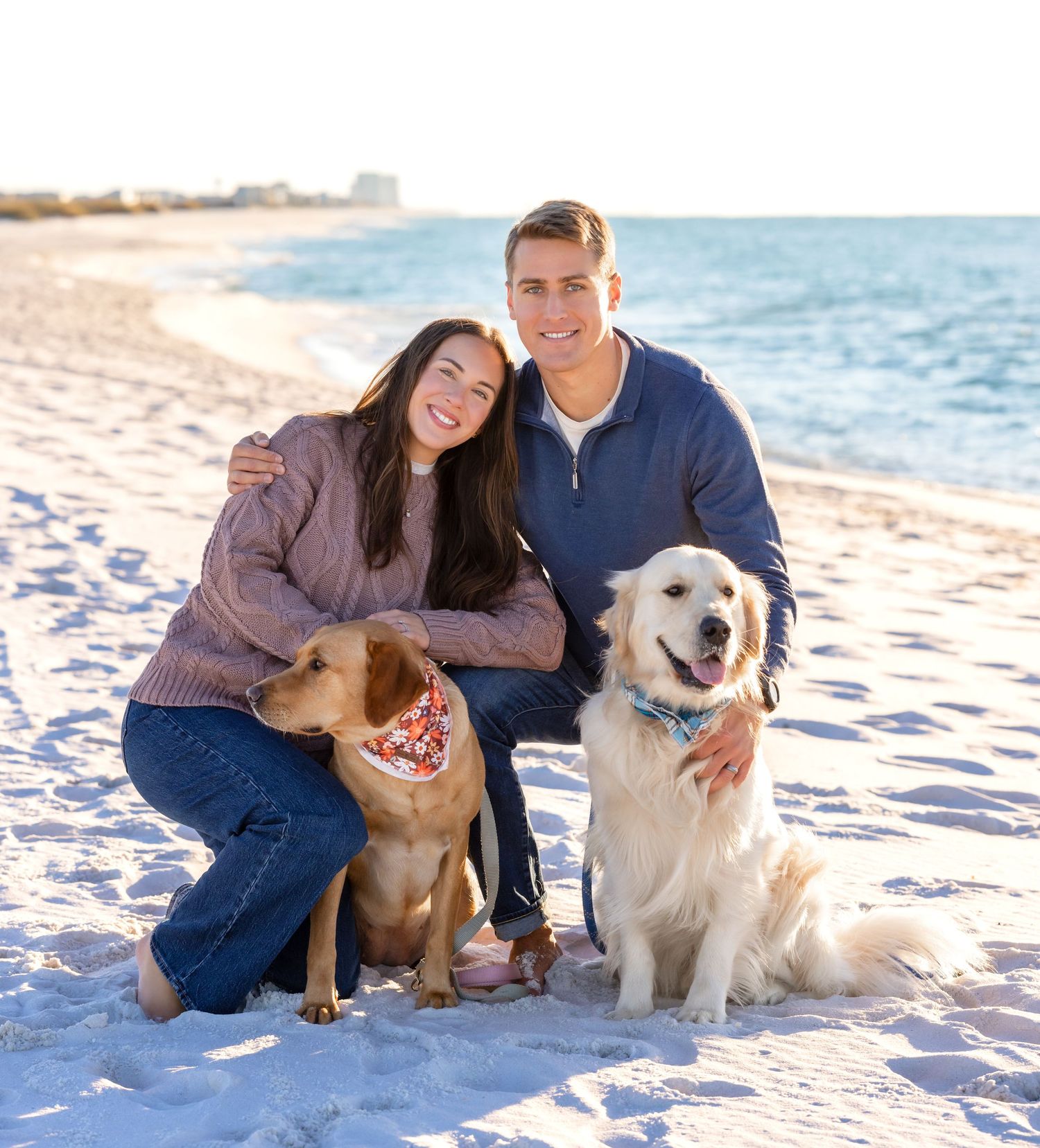 People and dogs walking on a white sandy beach at sunset casting long shadows across the pristine shoreline.
