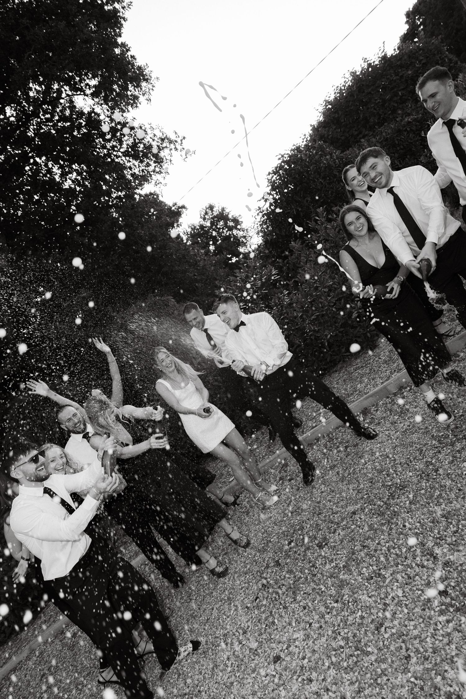 A sequence of black and white photos showing guests celebrating at an outdoor party.