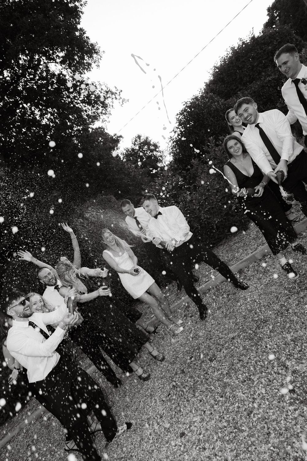 A sequence of black and white photos showing guests celebrating at an outdoor party.