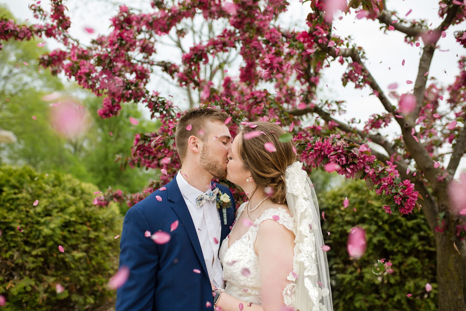 Happy bride and groom kissing under spring flowers and a flowering tree. pink flowers.